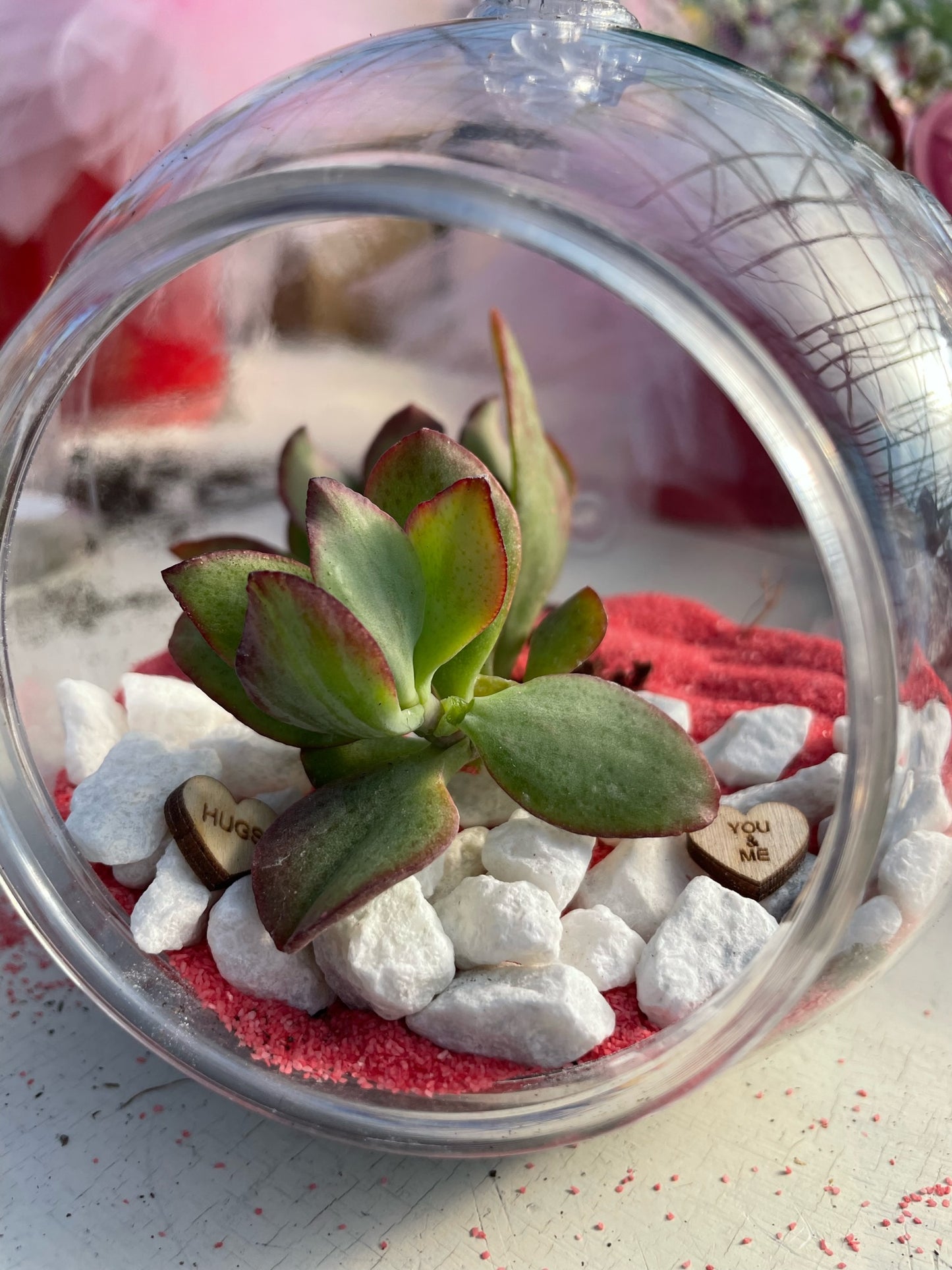 Valentine’s Terrarium Kit: DIY