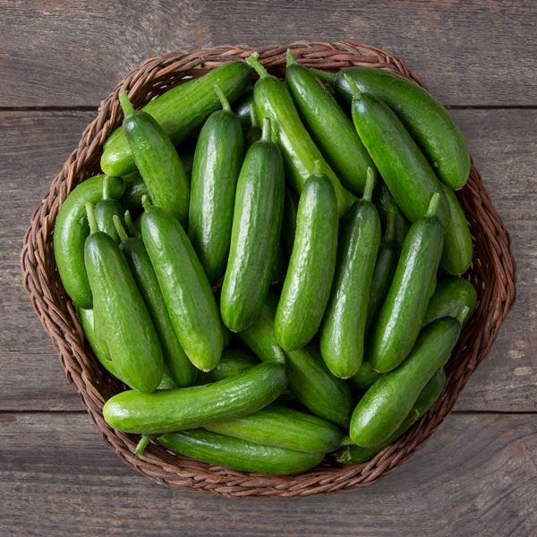 Minime F1 Cucumber: 10 seeds