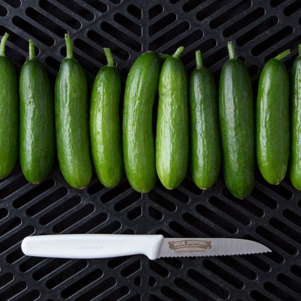 Minime F1 Cucumber: 10 seeds
