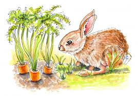 Bunny Garden