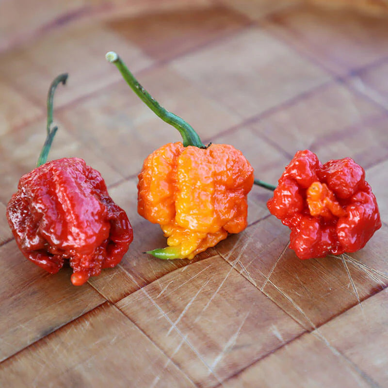 Carolina Reaper