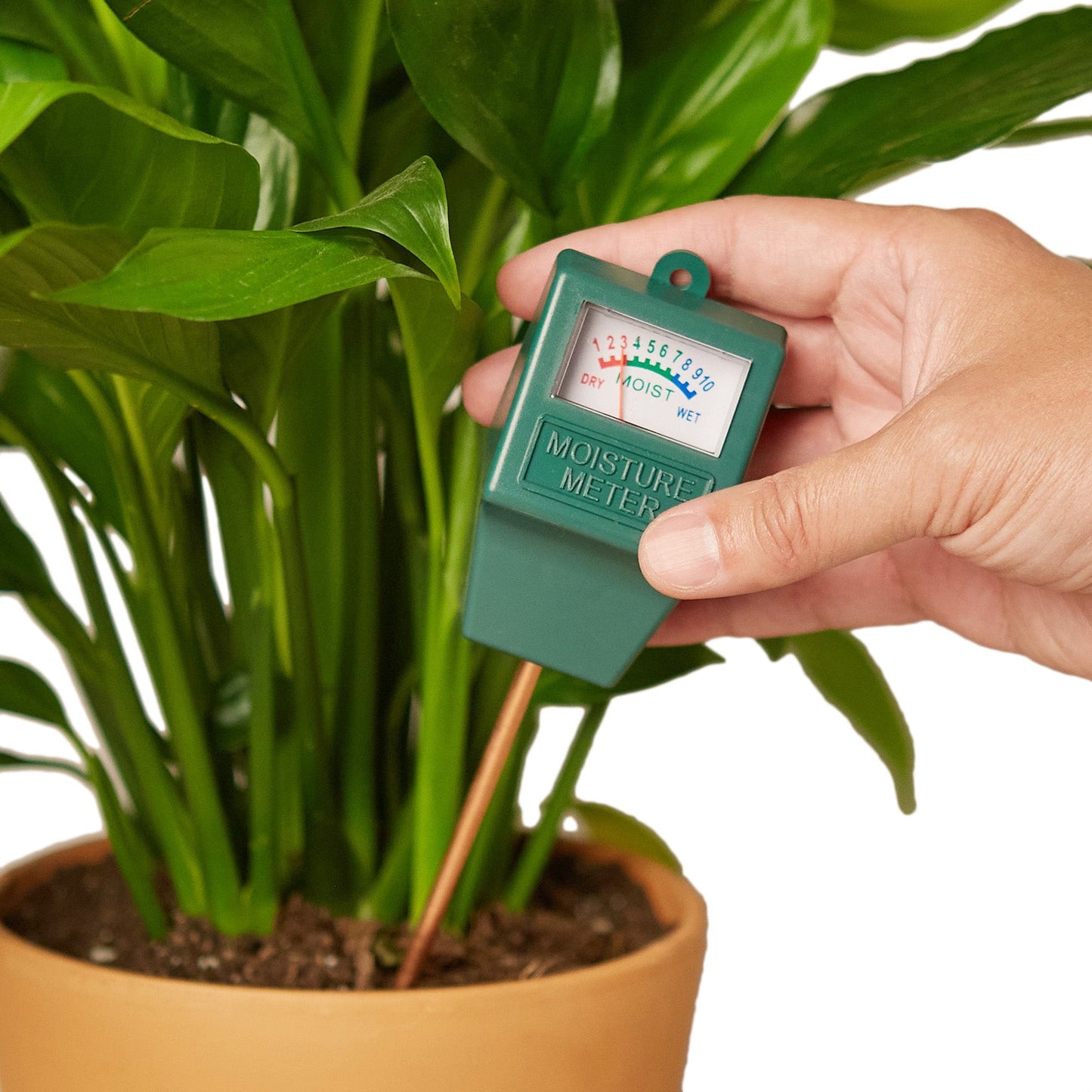 Moisture Meter-2