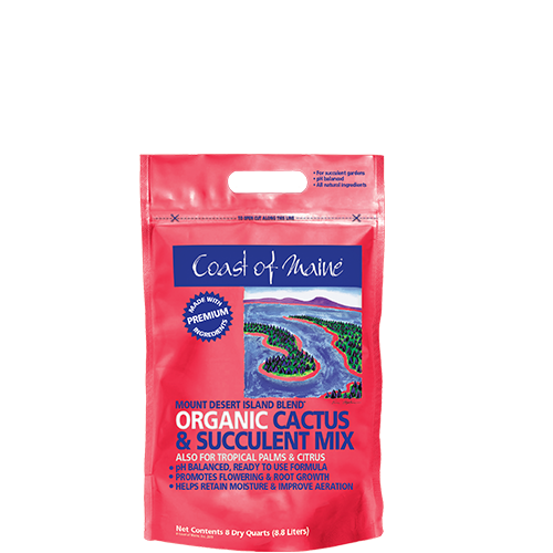 Mount Desert Island Blend Organic Cactus & Succulent Mix