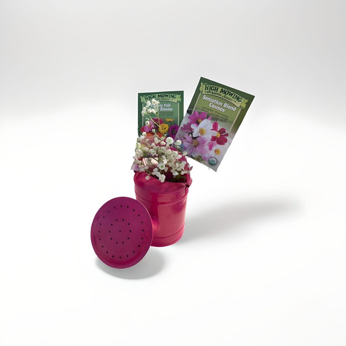 Celebrate Watering Can Seed Bouquet - Small