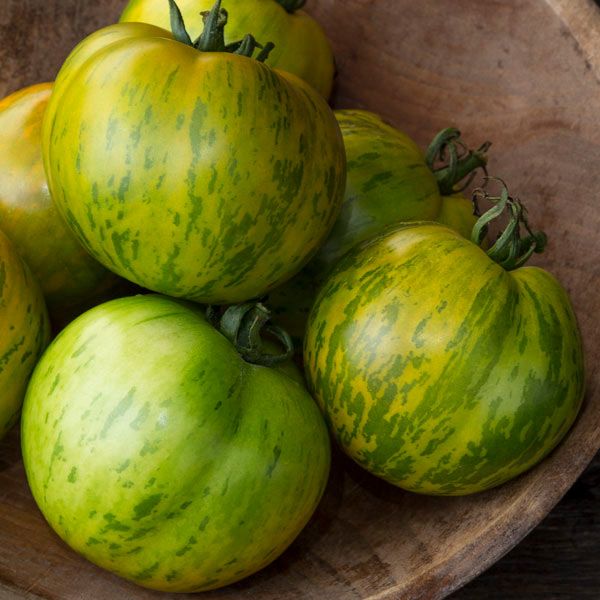Green Zebra Tomato: 1/10 gram