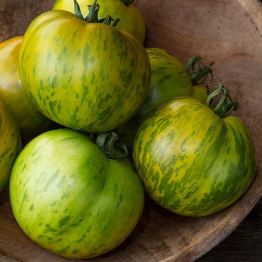 Green Zebra Tomato: 1/10 gram