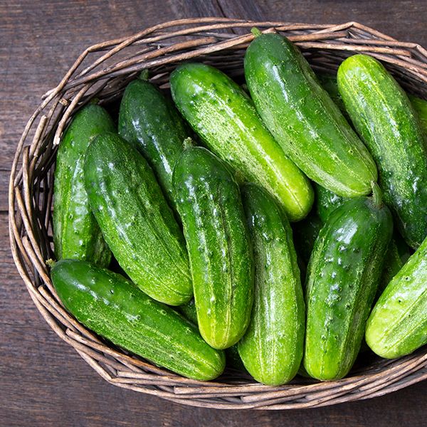 National Pickling Cucumber: 1/16 oz.