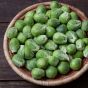 Nautic F1 Brussel Sprouts: 10 seeds