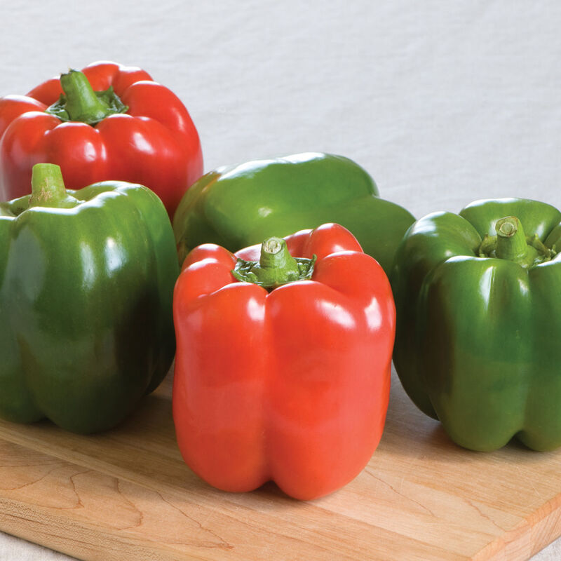 Olympus Pepper