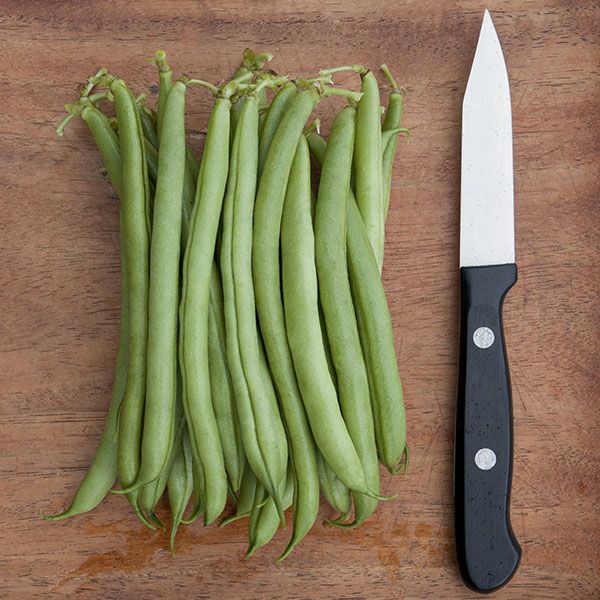 Garden Starter (7 Pack)