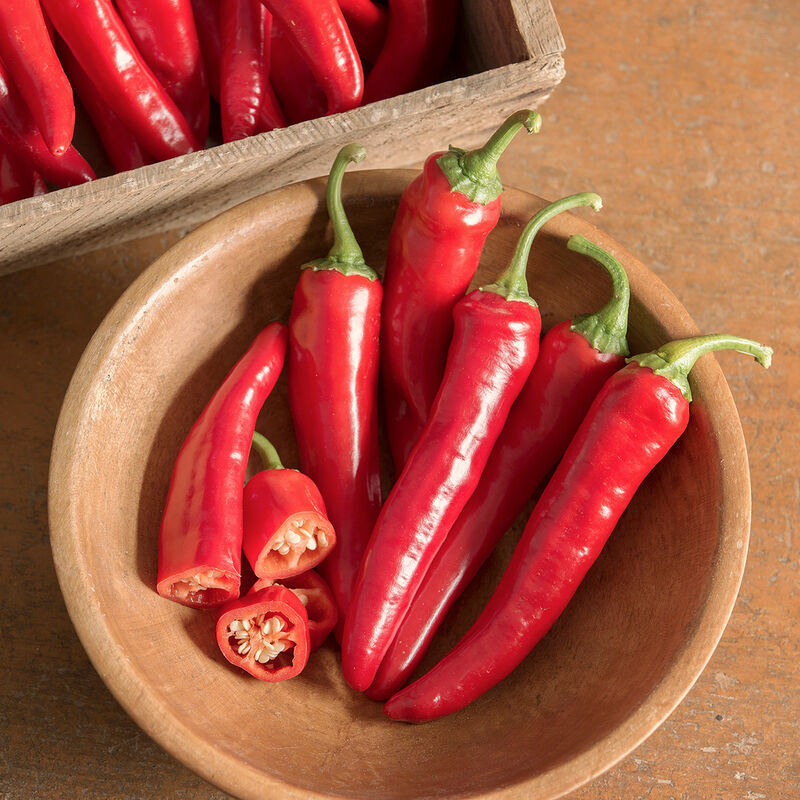 Red Ember F1 Pepper