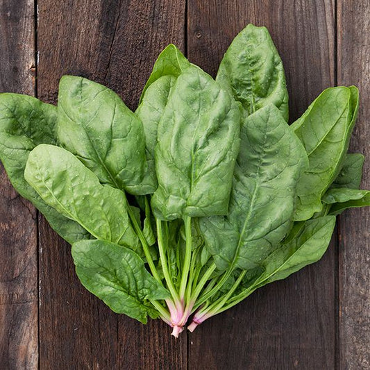 Renegade F1 Spinach: 100 seeds