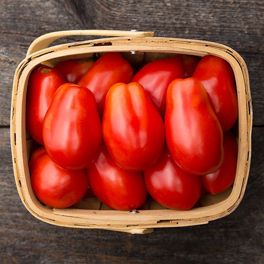 Roma VF Paste Tomato