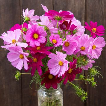 NEW Bouquet Garden(5 Pack)