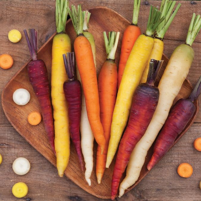 Starburst Carrot Blend: 250 seeds