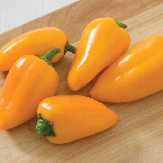 Yellow Lunch Box Pepper
