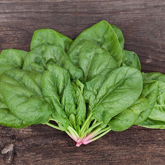Butterflay Spinach: 1/4 oz.