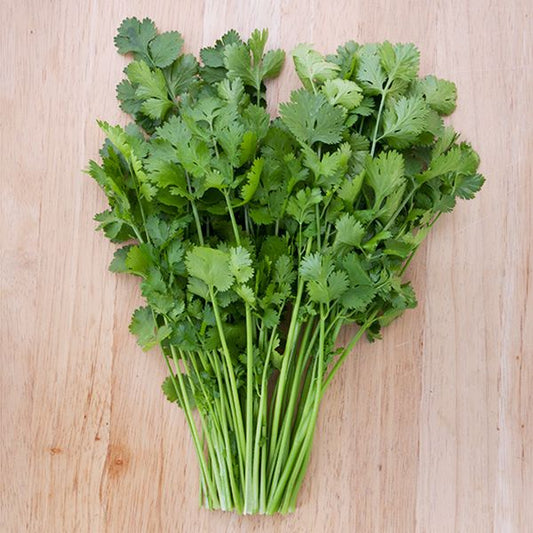 Cilantro Caribe