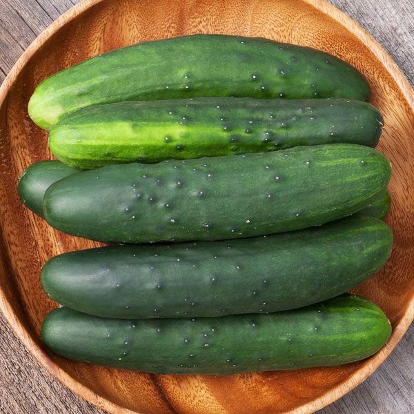 Marketmore 76 Cucumber: 1/16 oz.