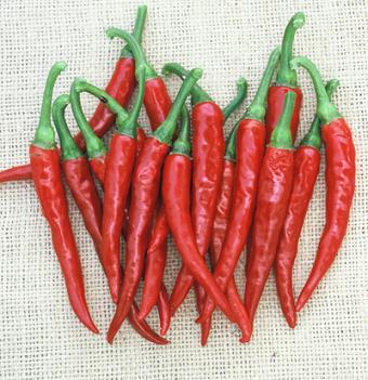 Ring-O-Fire Cayenne Peppers