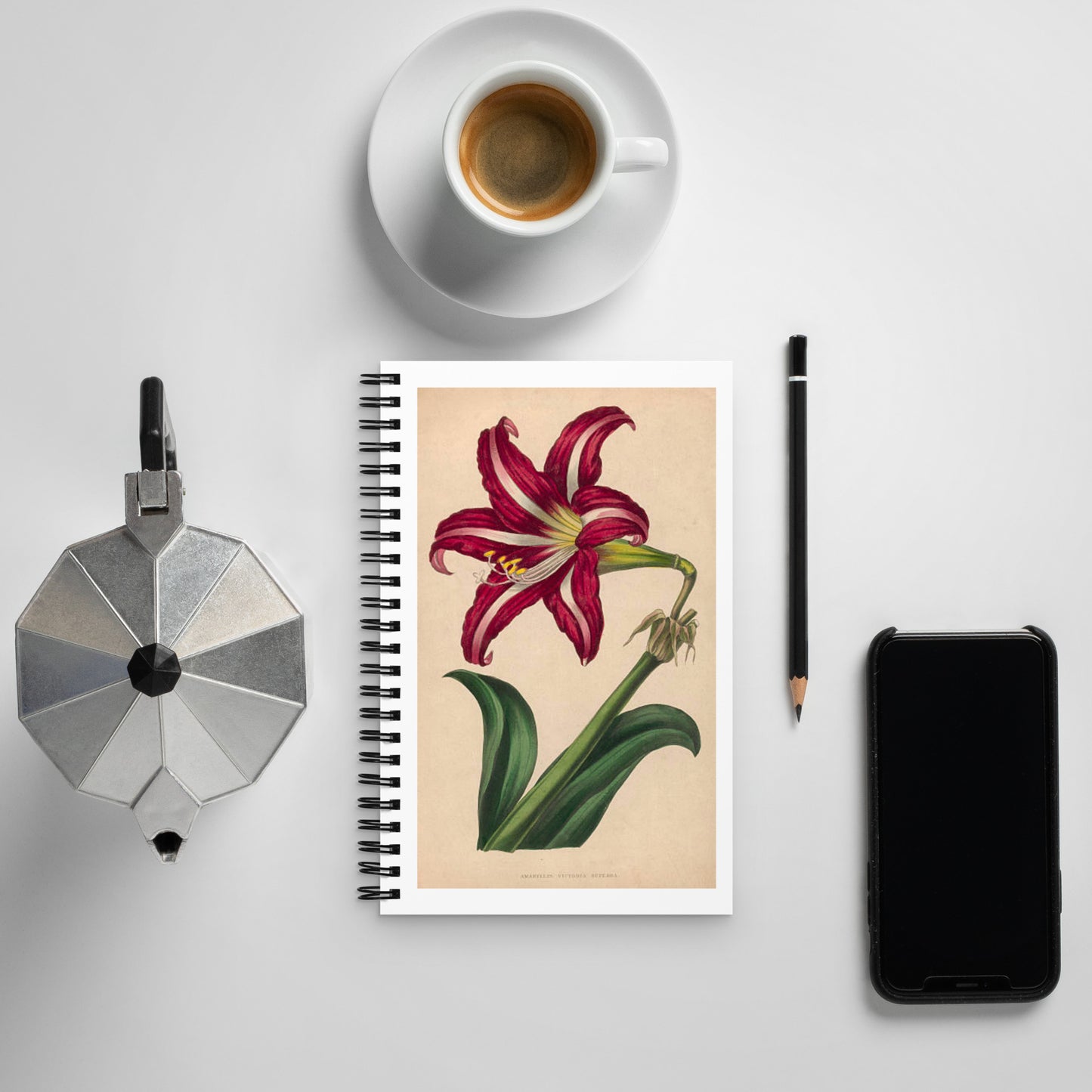 Spiral notebook