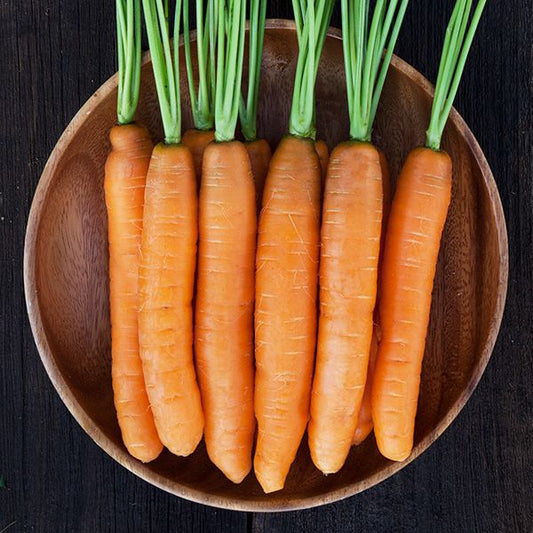 Yaya Carrot: 250 seeds