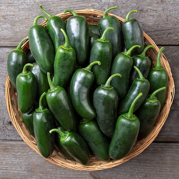 Black Magic F1 Jalapeno Peppers