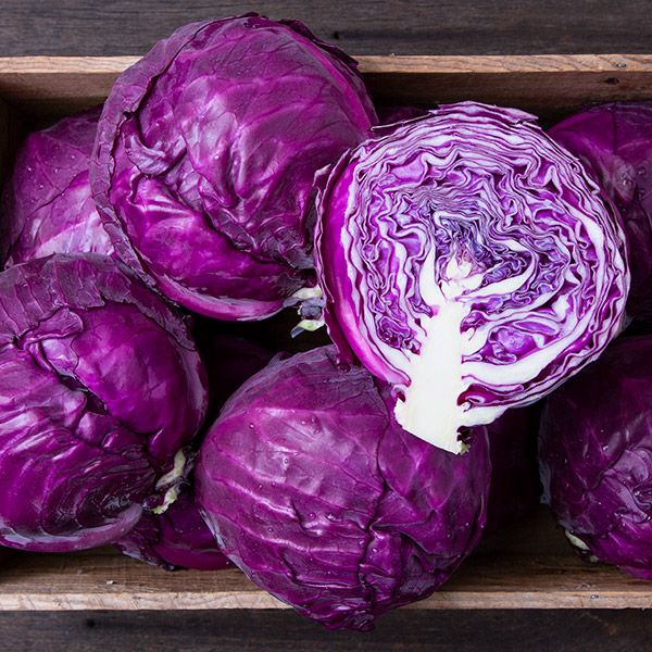 Fresh Market Red Cabbage