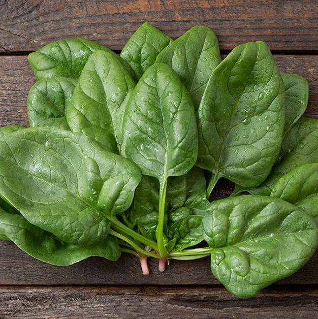 Space F1 Spinach