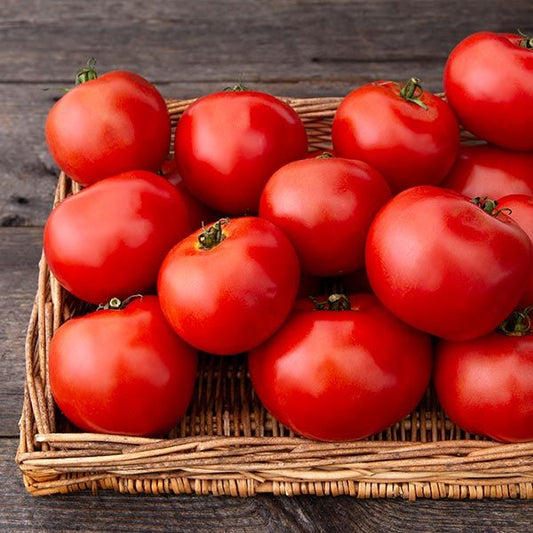 Tasti-Lee F1 Tomatoes